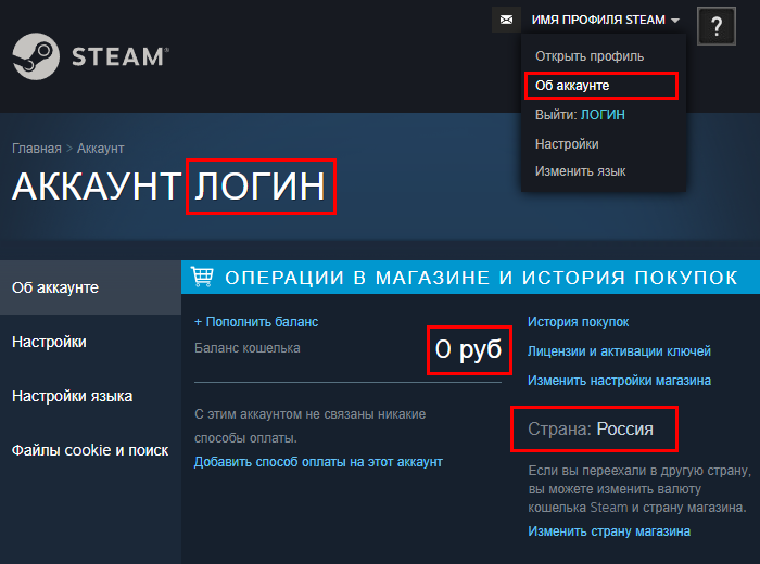 Где посмотреть логин, страну и валюту аккаунта Steam